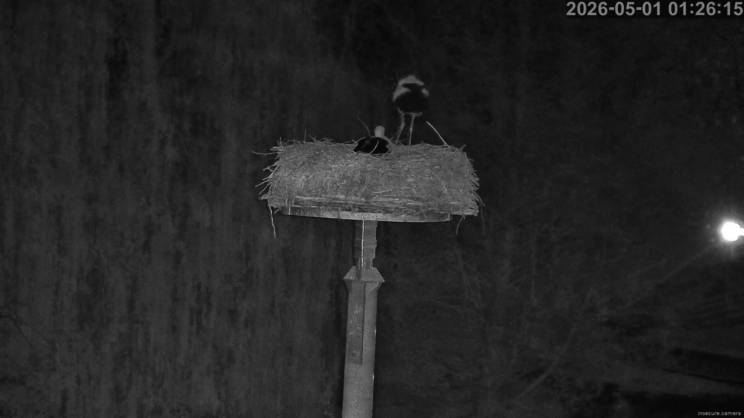 Capture from Apr 30, 2026 at 10:26 PM