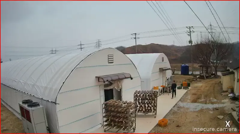 Camera in South Korea