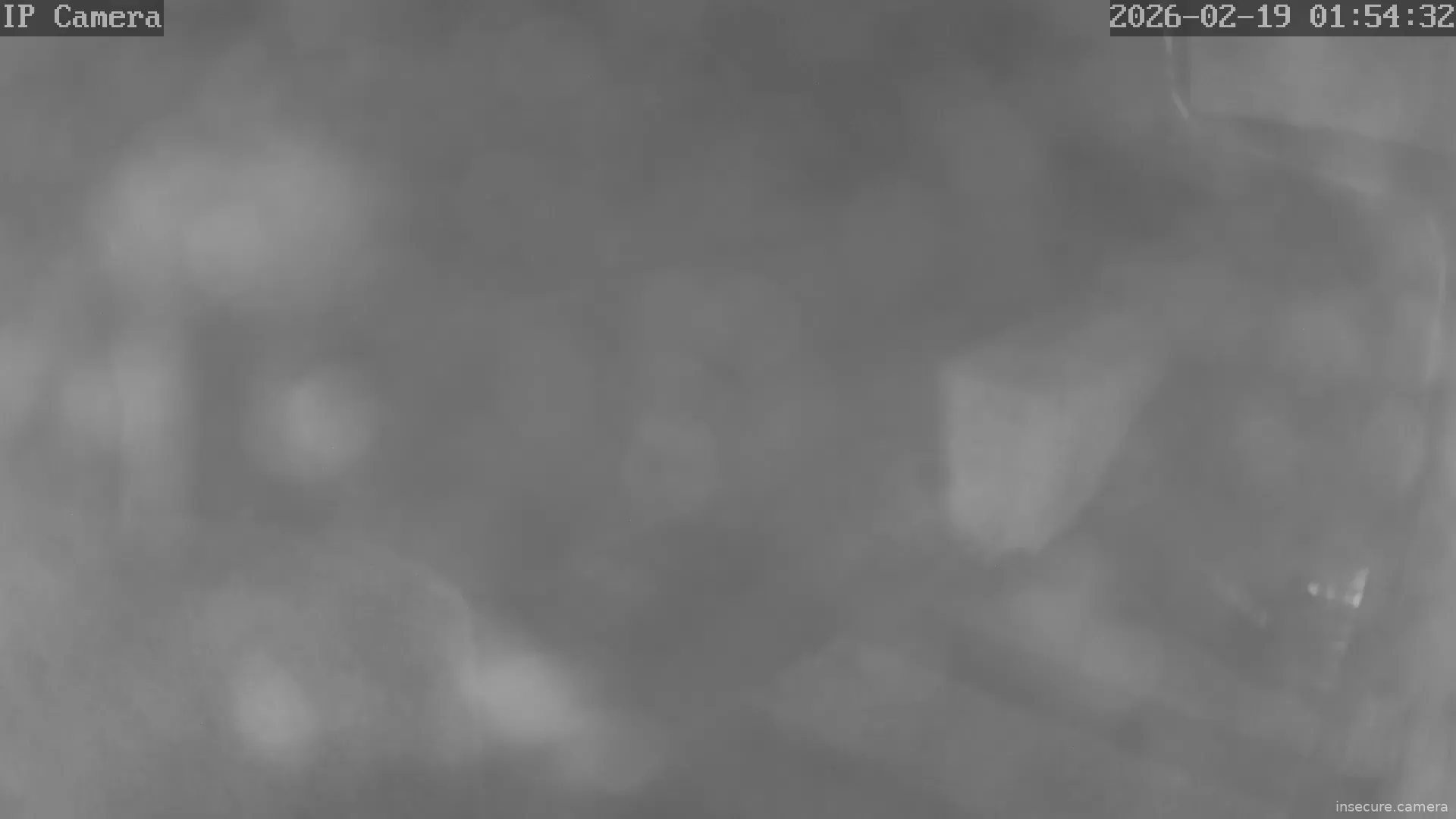 Capture from Feb 19, 2026 at 12:54 AM