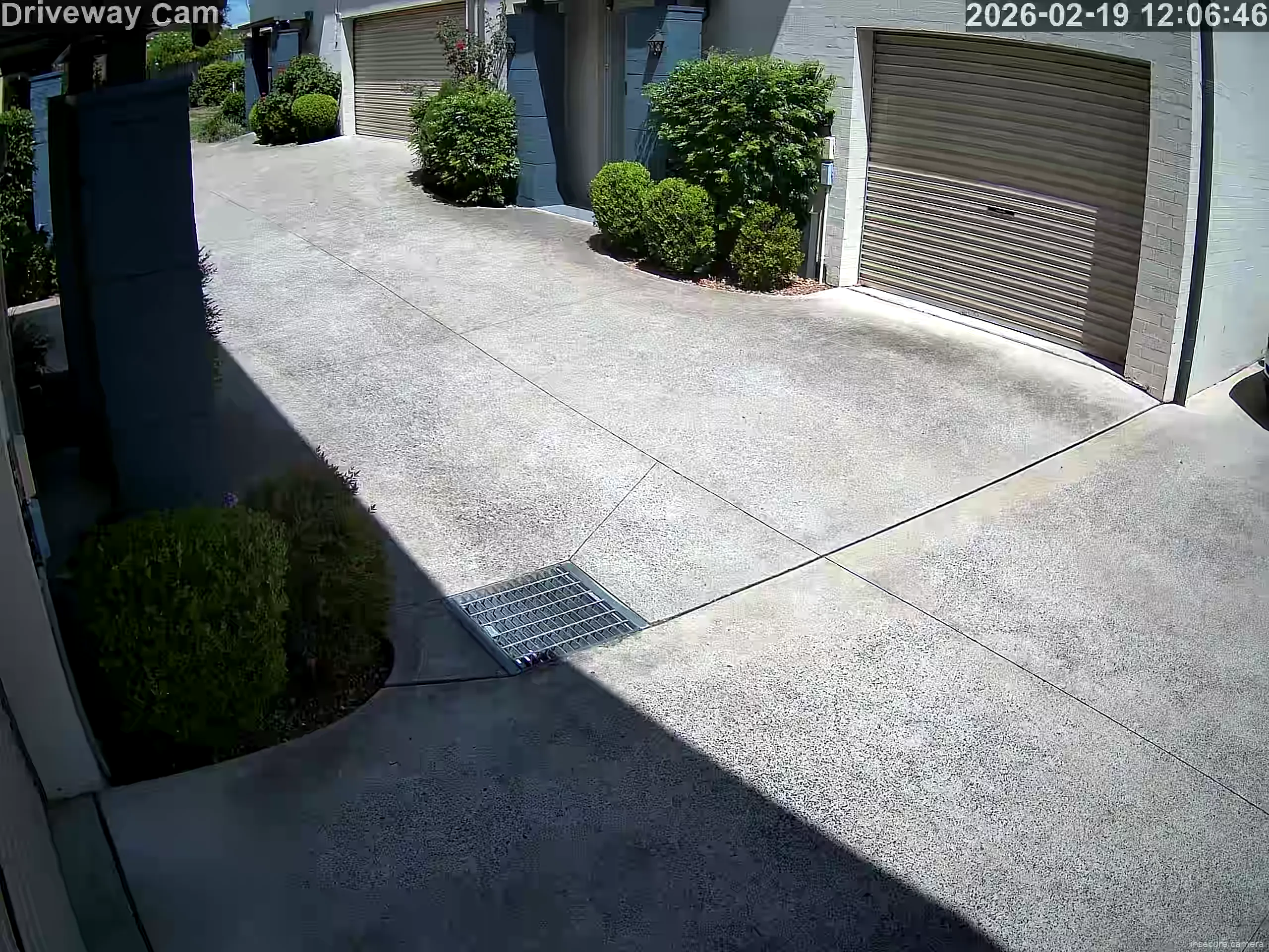 Capture from Feb 19, 2026 at 01:07 AM