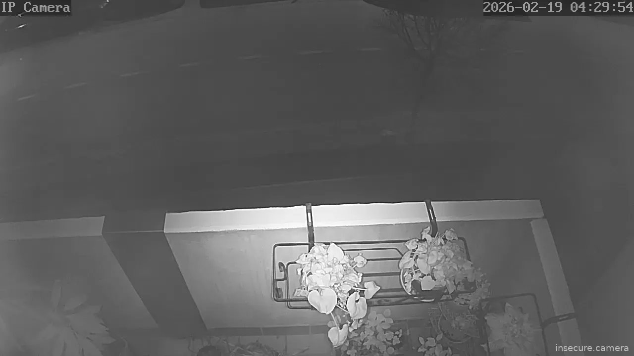 Capture from Feb 19, 2026 at 03:30 AM