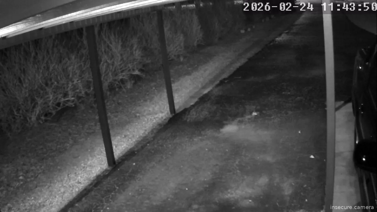 Capture from Feb 24, 2026 at 03:44 AM