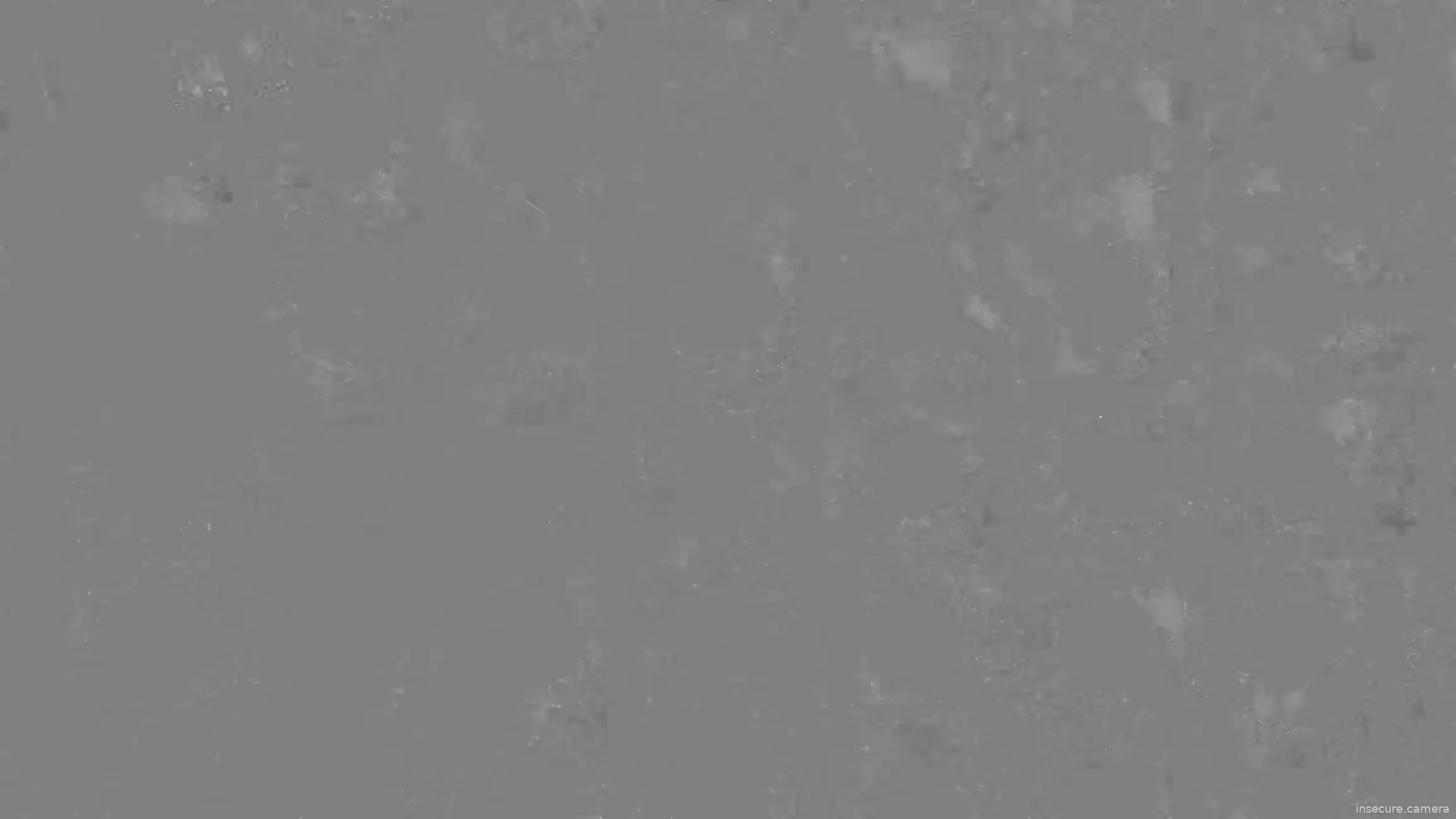 Capture from Feb 19, 2026 at 01:11 AM