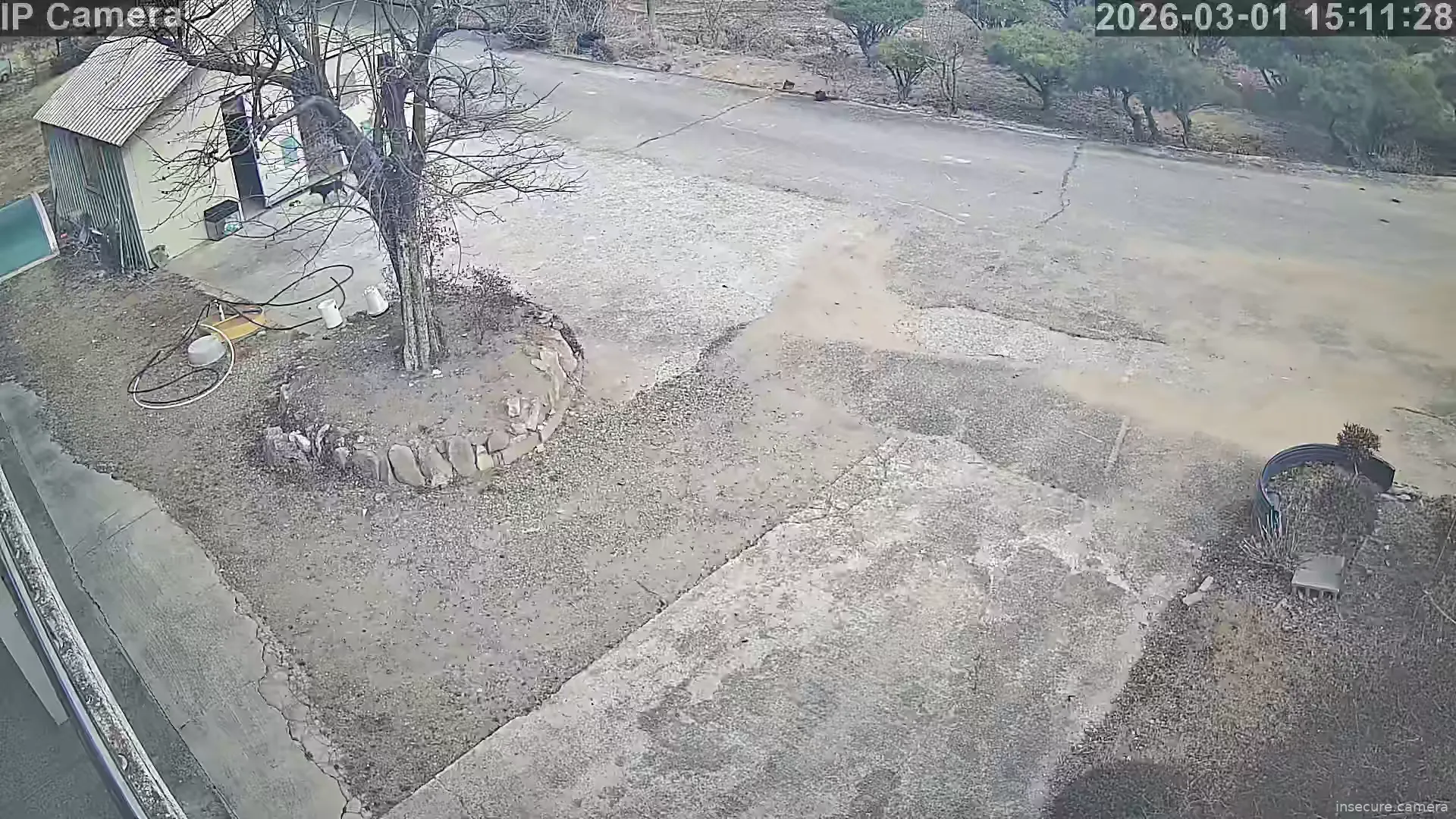 Capture from Mar 01, 2026 at 06:11 AM