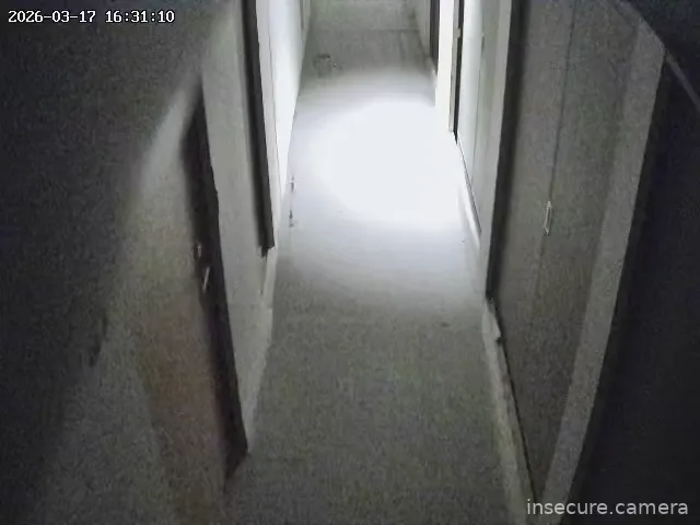 Capture from Mar 17, 2026 at 01:31 PM