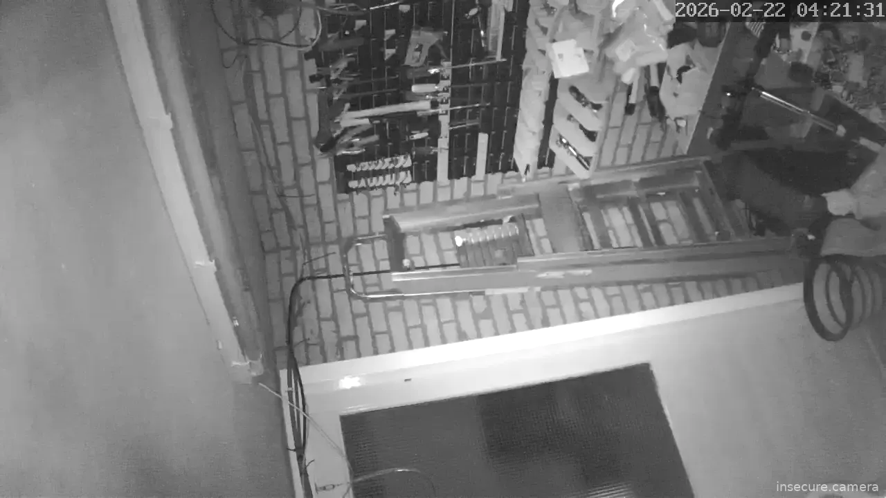 Capture from Feb 22, 2026 at 03:39 AM