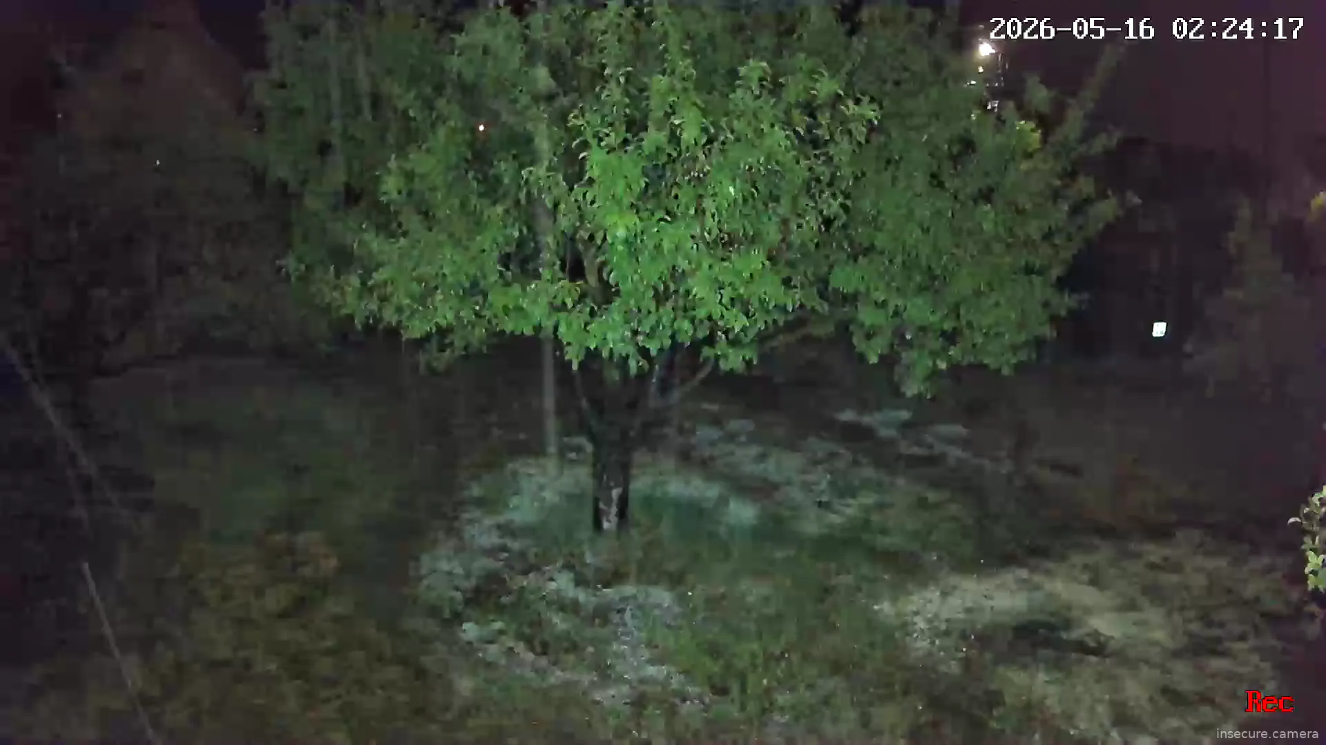 Capture from May 16, 2026 at 12:24 AM