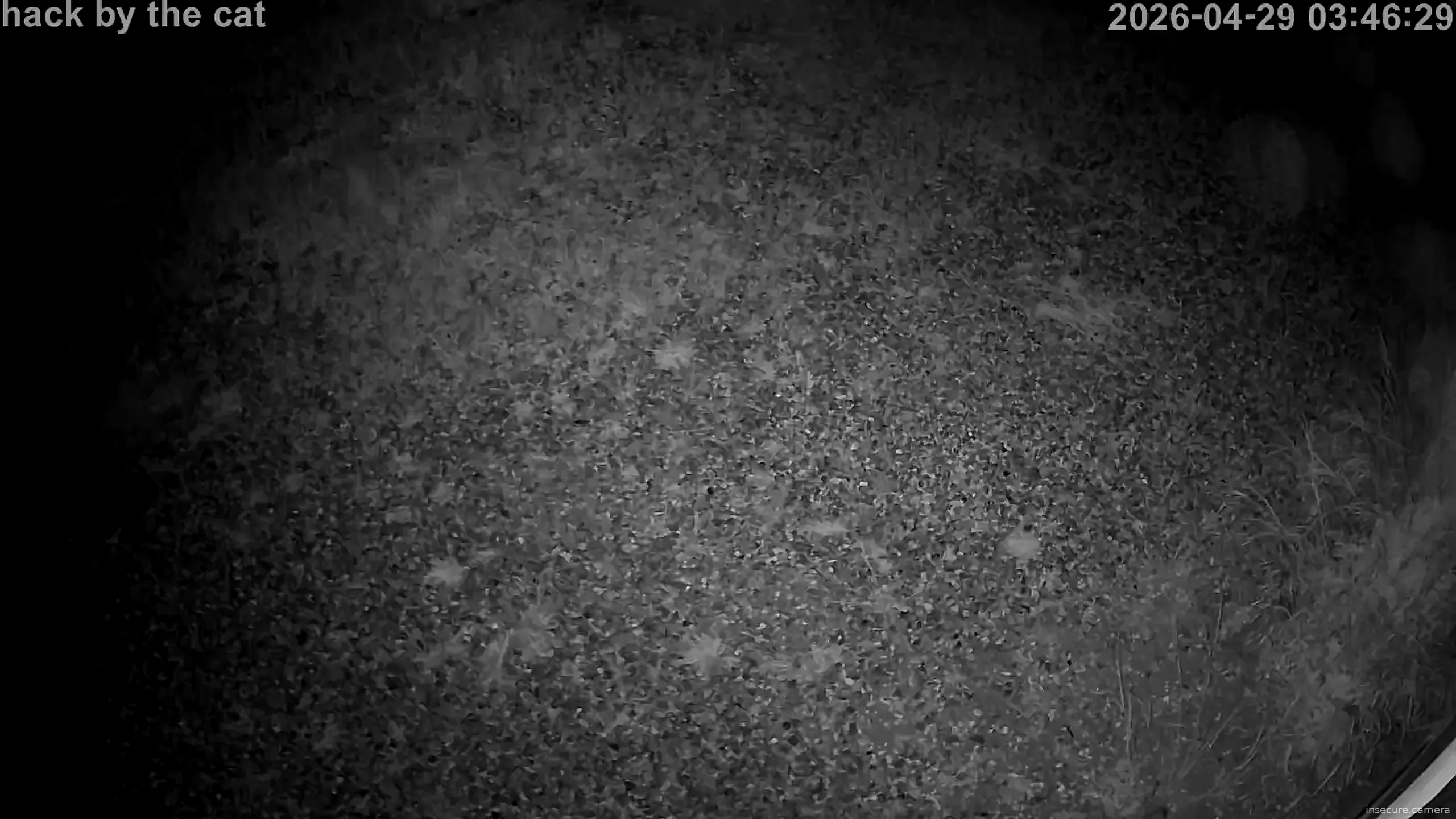 Capture from Apr 29, 2026 at 01:46 AM