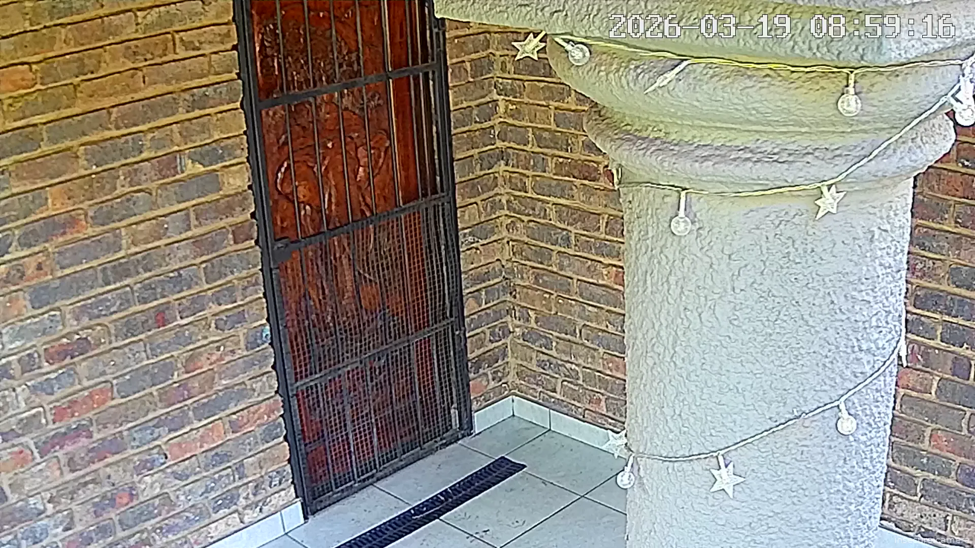 Camera in South Africa
