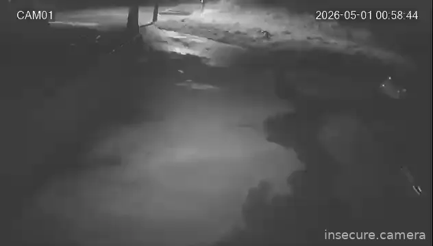 Camera in South Korea