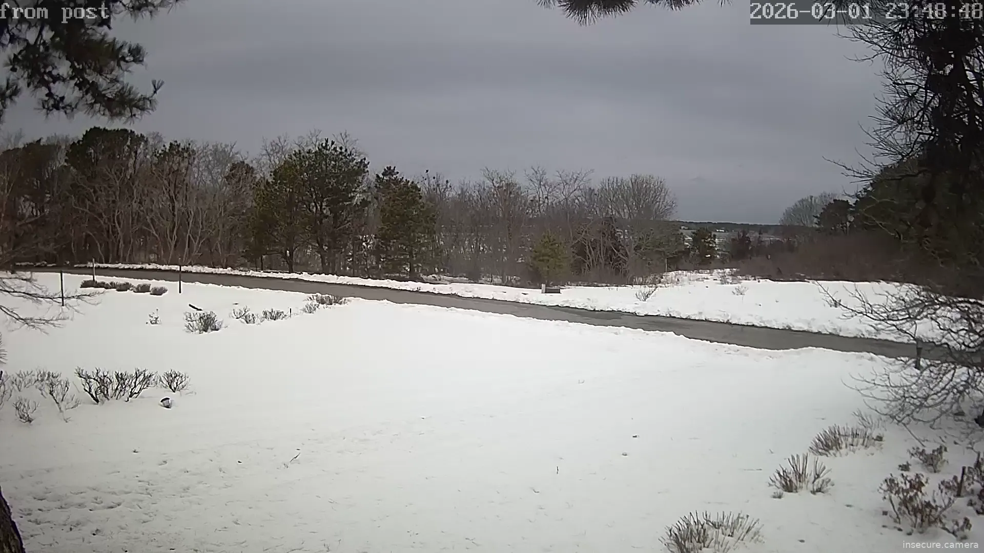 Camera in United States