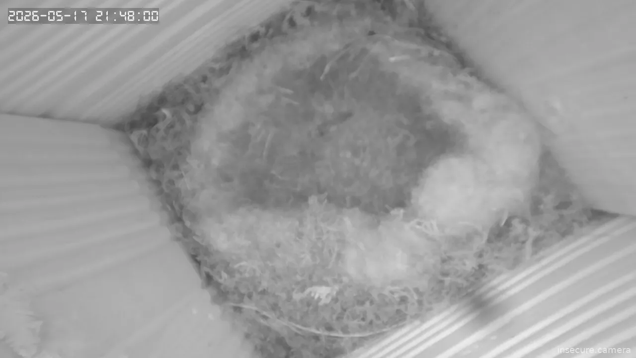 Capture from May 17, 2026 at 07:48 PM