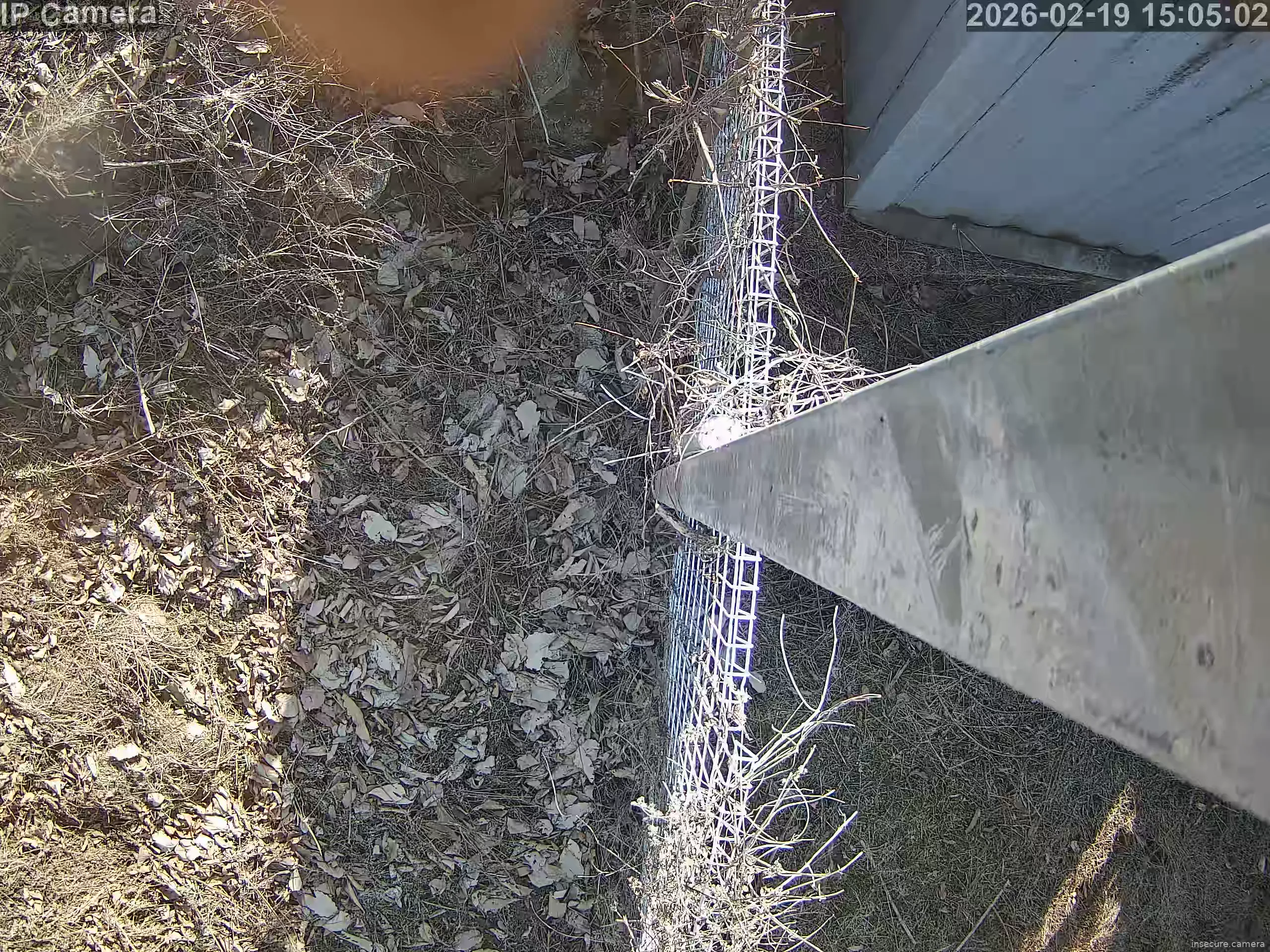 Capture from Feb 19, 2026 at 07:05 AM