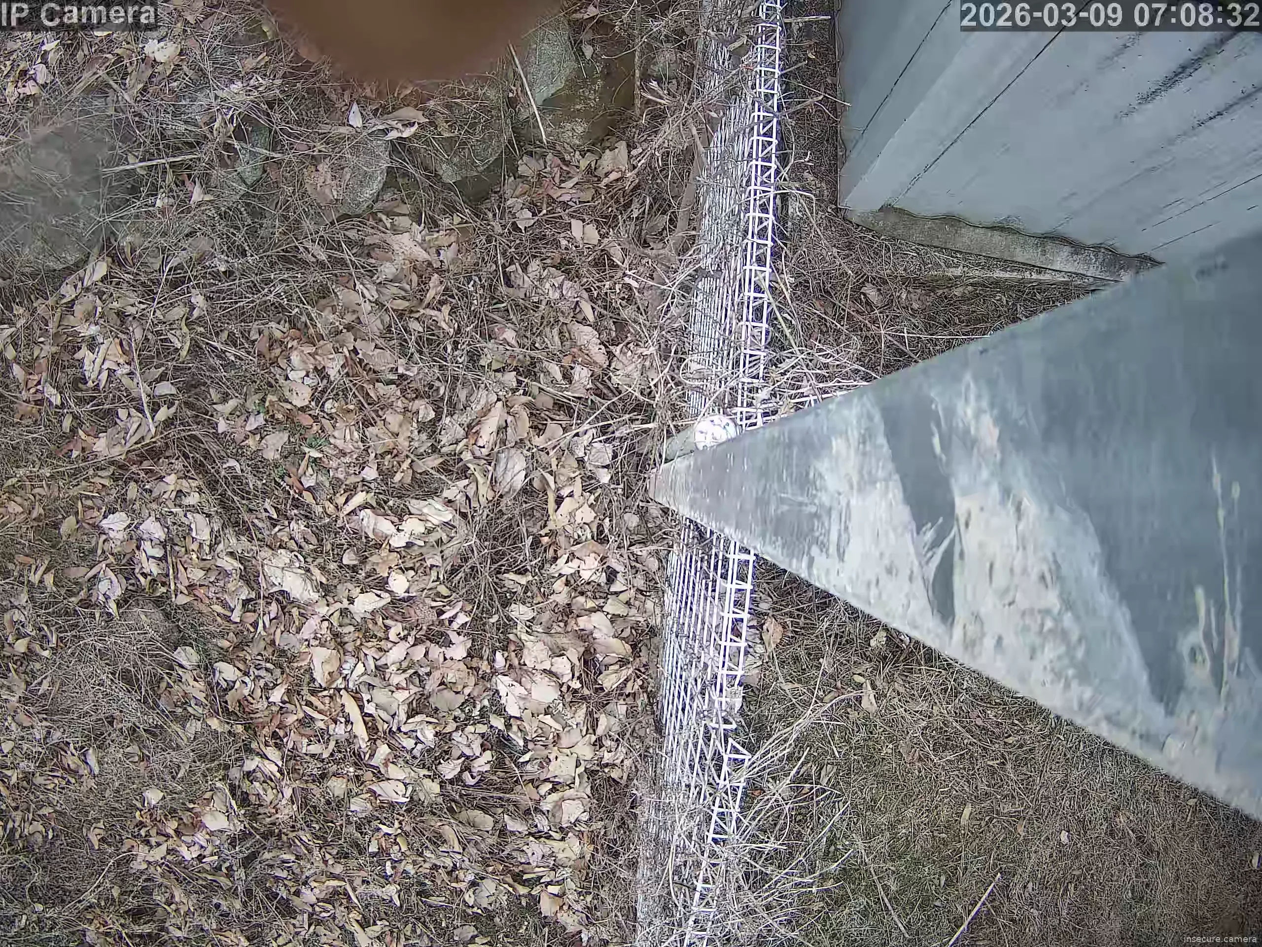 Camera in South Korea