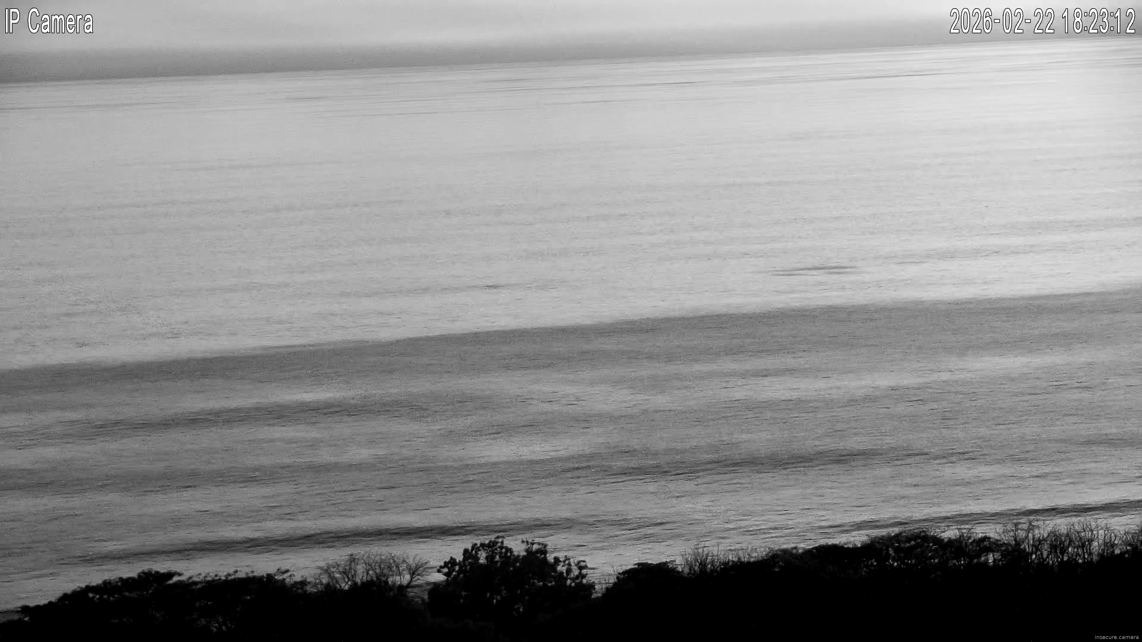 Capture from Feb 23, 2026 at 12:23 AM