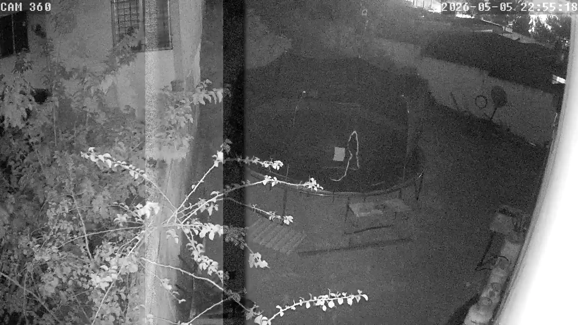 Capture from May 06, 2026 at 04:55 AM