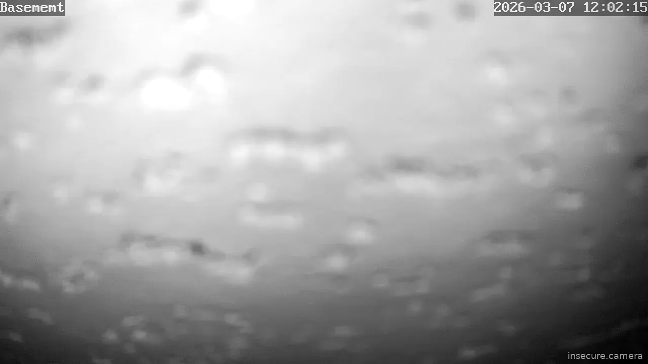 Capture from Mar 07, 2026 at 05:02 PM