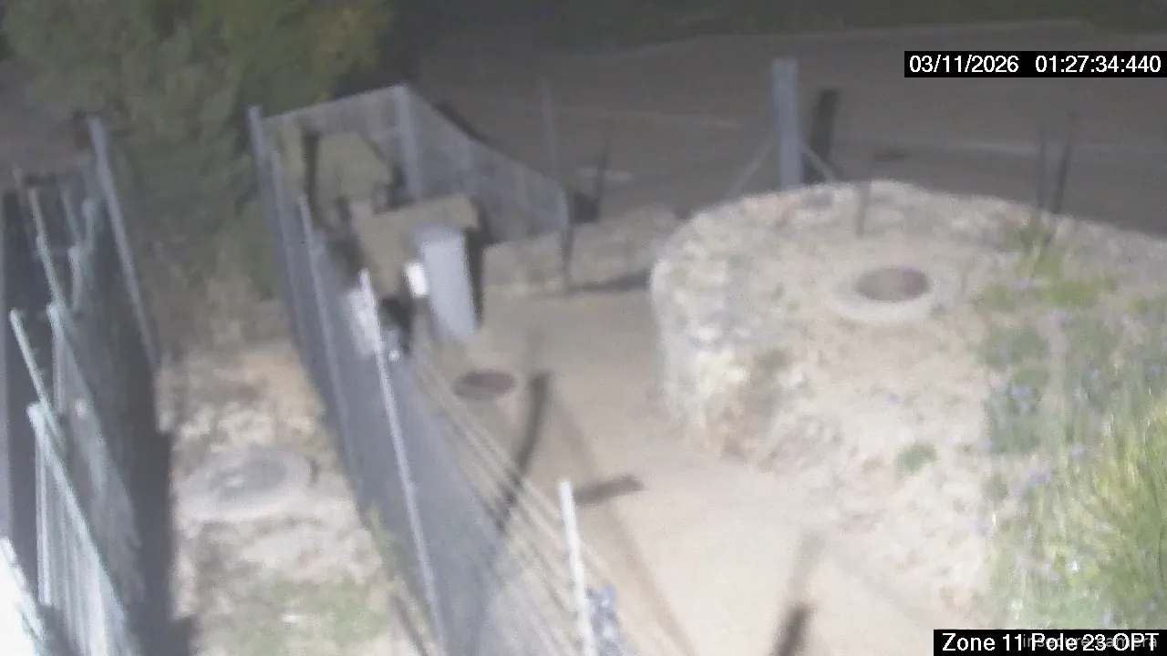 Capture from Mar 10, 2026 at 11:29 PM