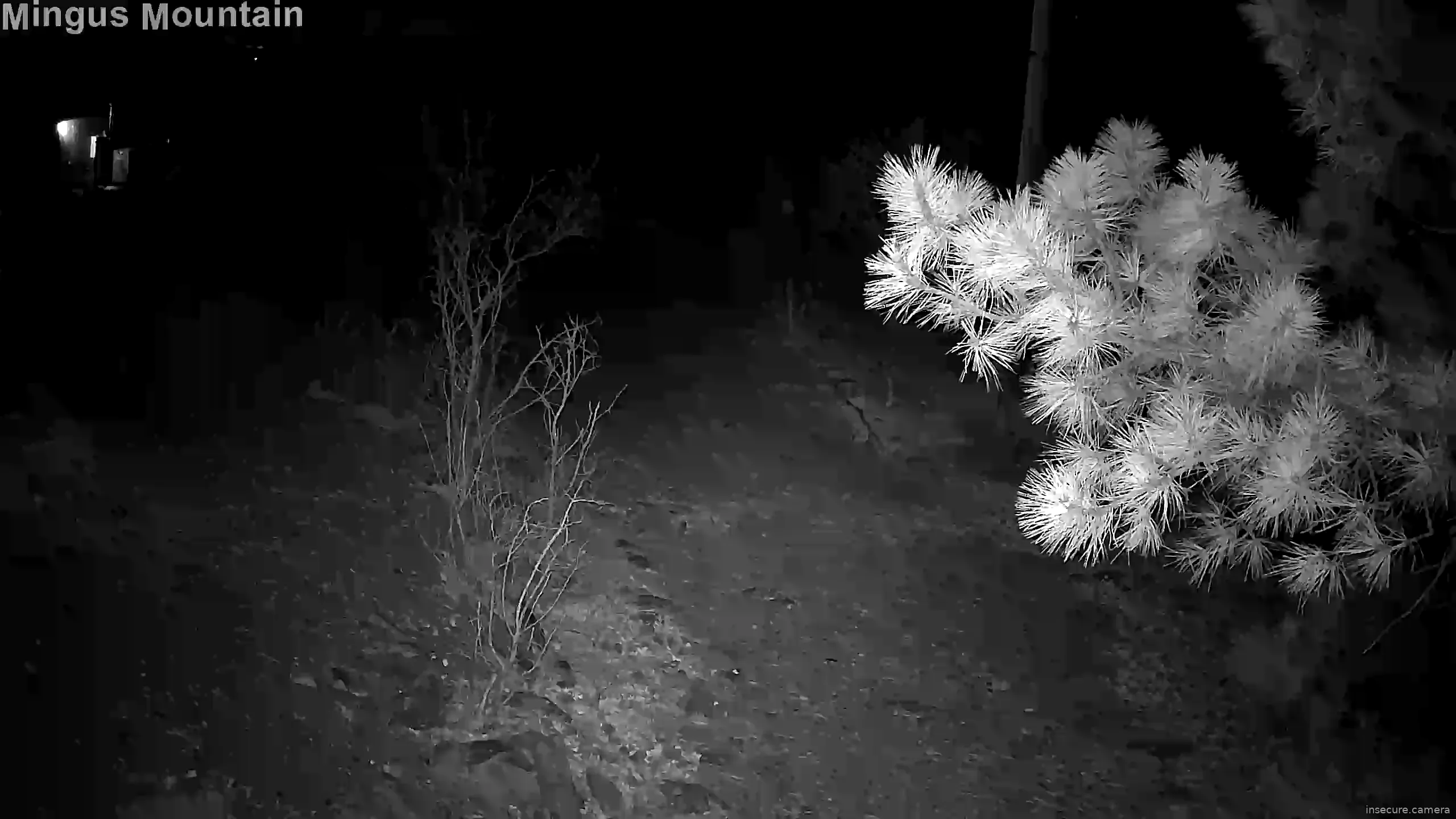 Camera in United States