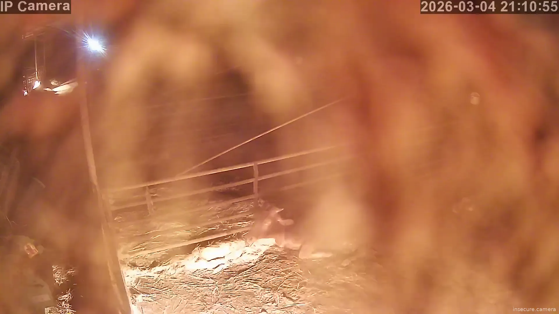 Capture from Mar 04, 2026 at 01:11 PM