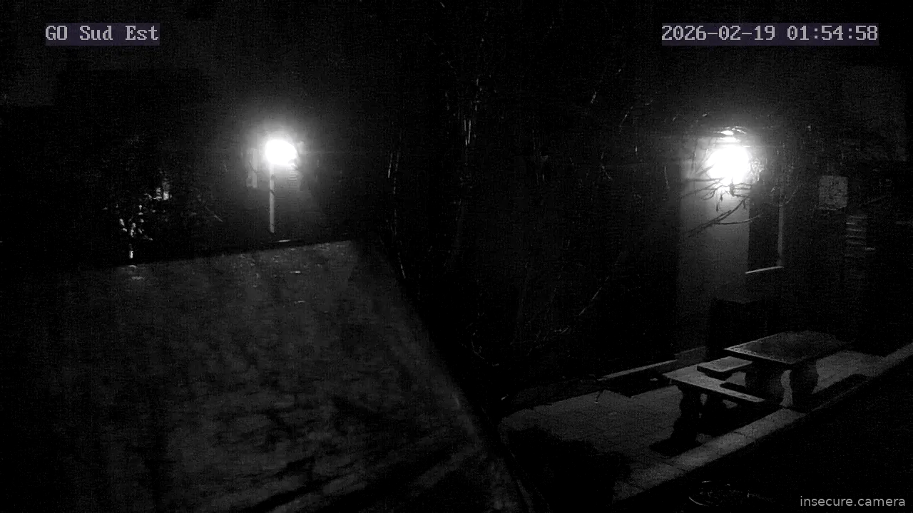 Capture from Feb 19, 2026 at 12:55 AM