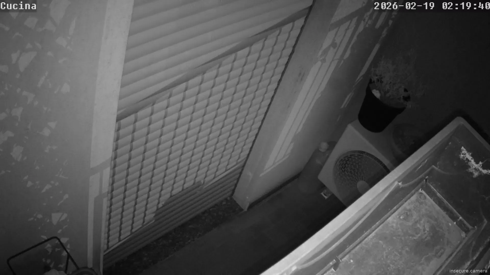 Capture from Feb 19, 2026 at 01:20 AM