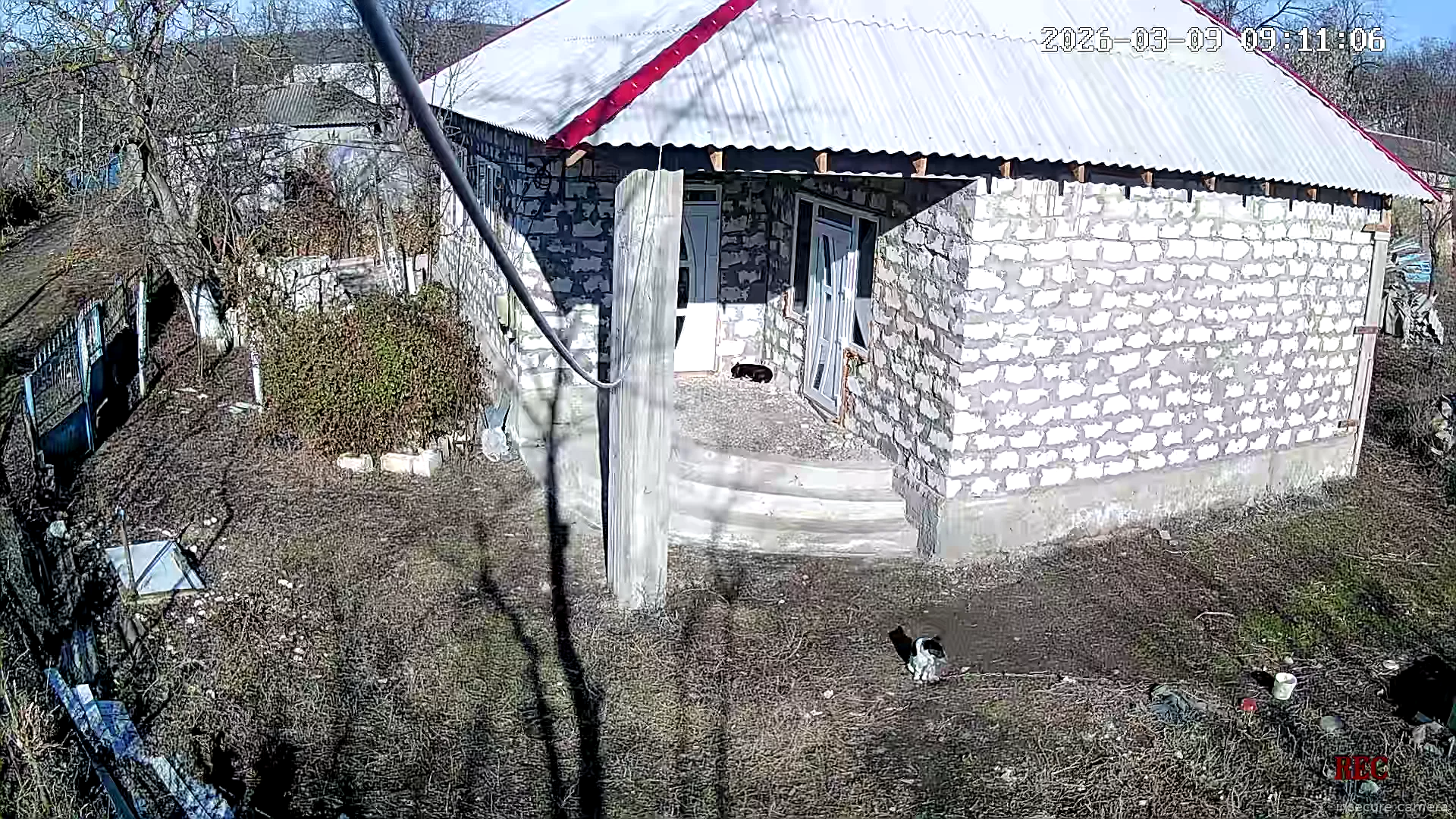 Capture from Mar 09, 2026 at 07:10 AM