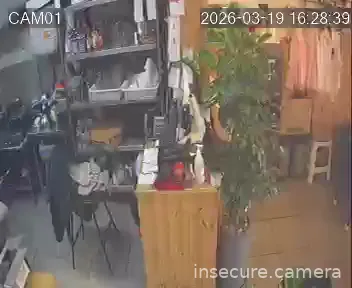 Camera in South Korea