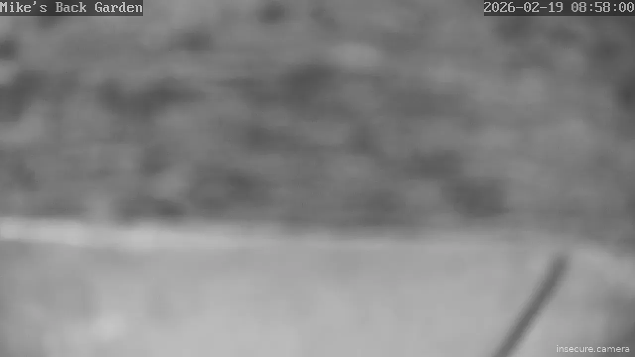 Capture from Feb 19, 2026 at 12:58 AM