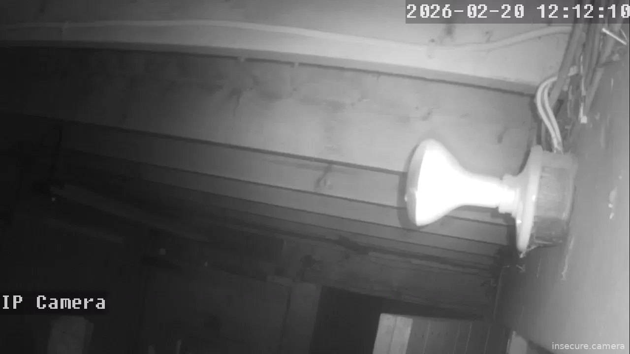 Capture from Feb 20, 2026 at 04:12 AM