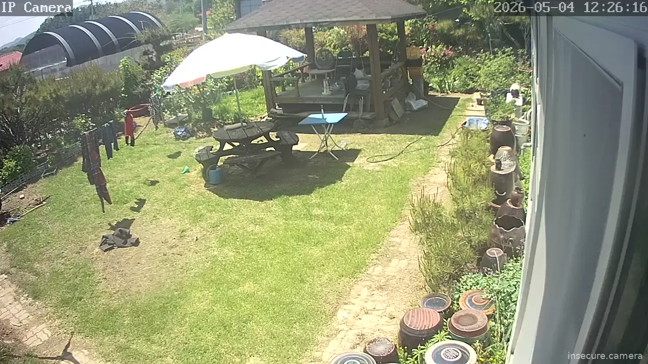 Camera in South Korea