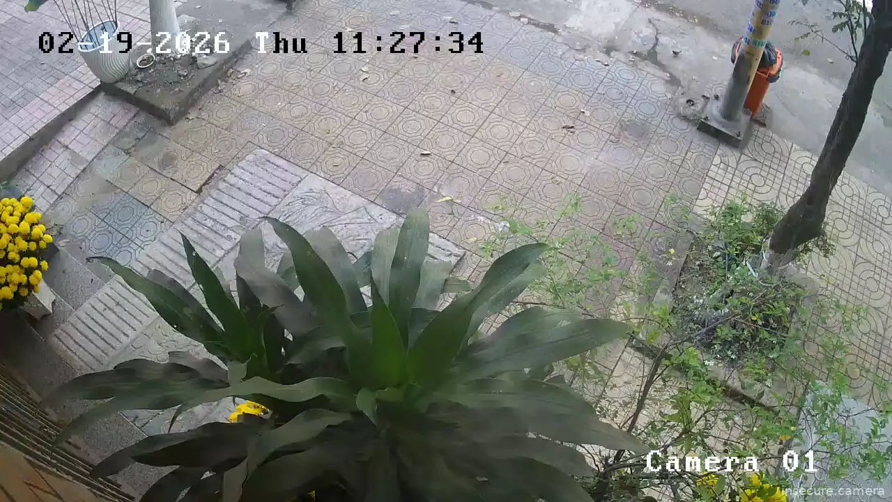 Capture from Feb 19, 2026 at 04:28 AM