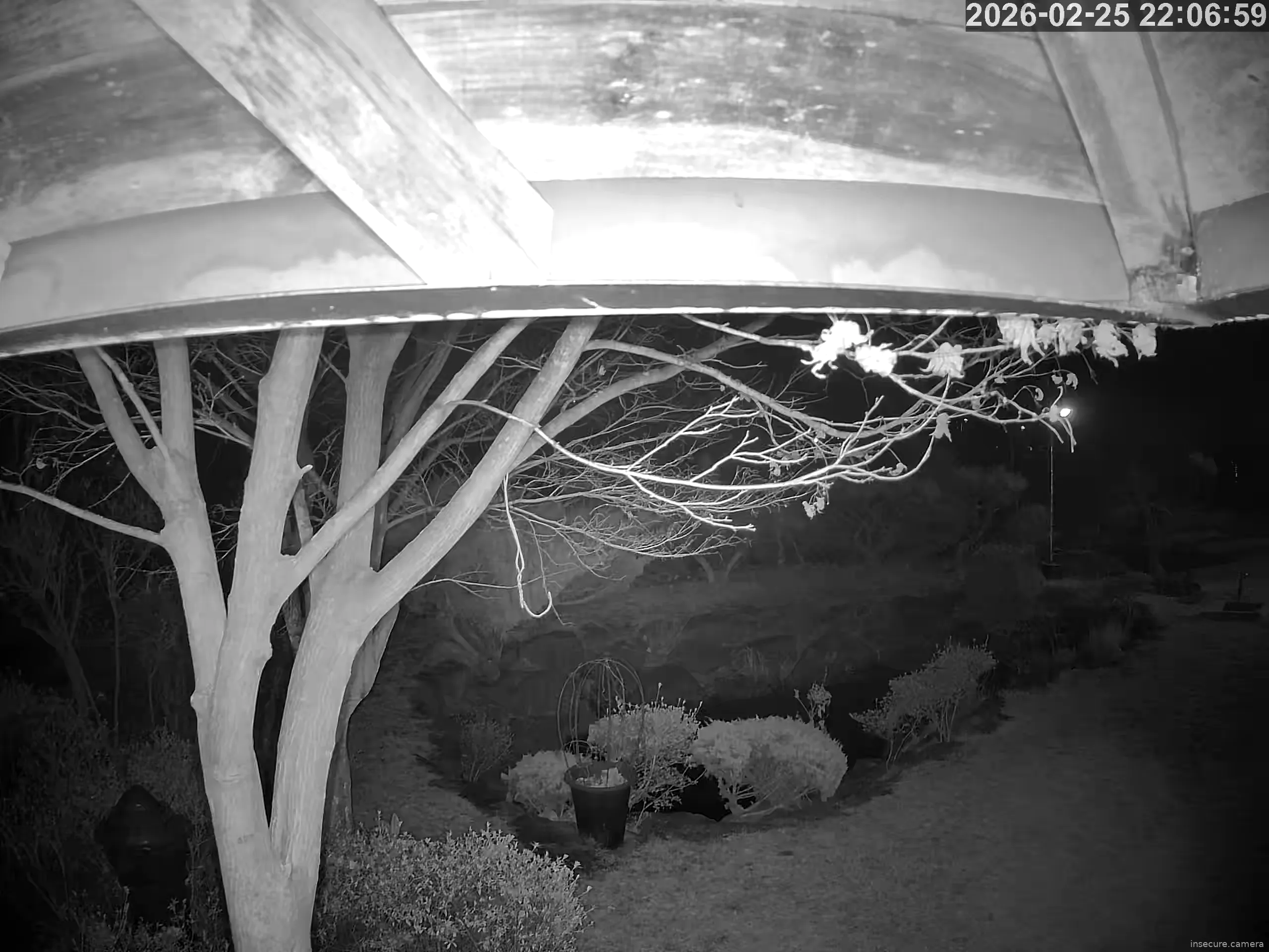 Capture from Feb 25, 2026 at 02:07 PM