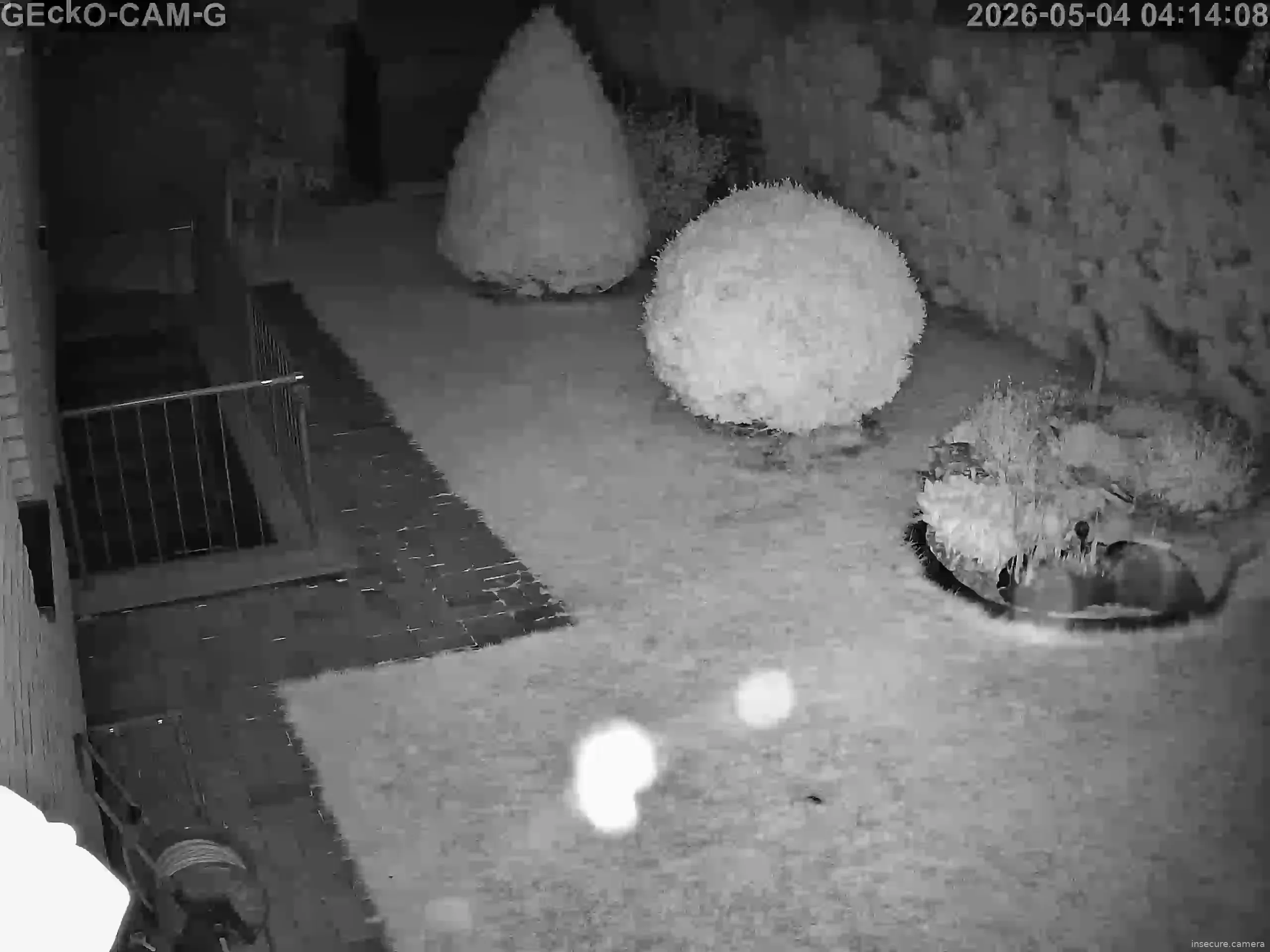 Capture from May 04, 2026 at 02:14 AM