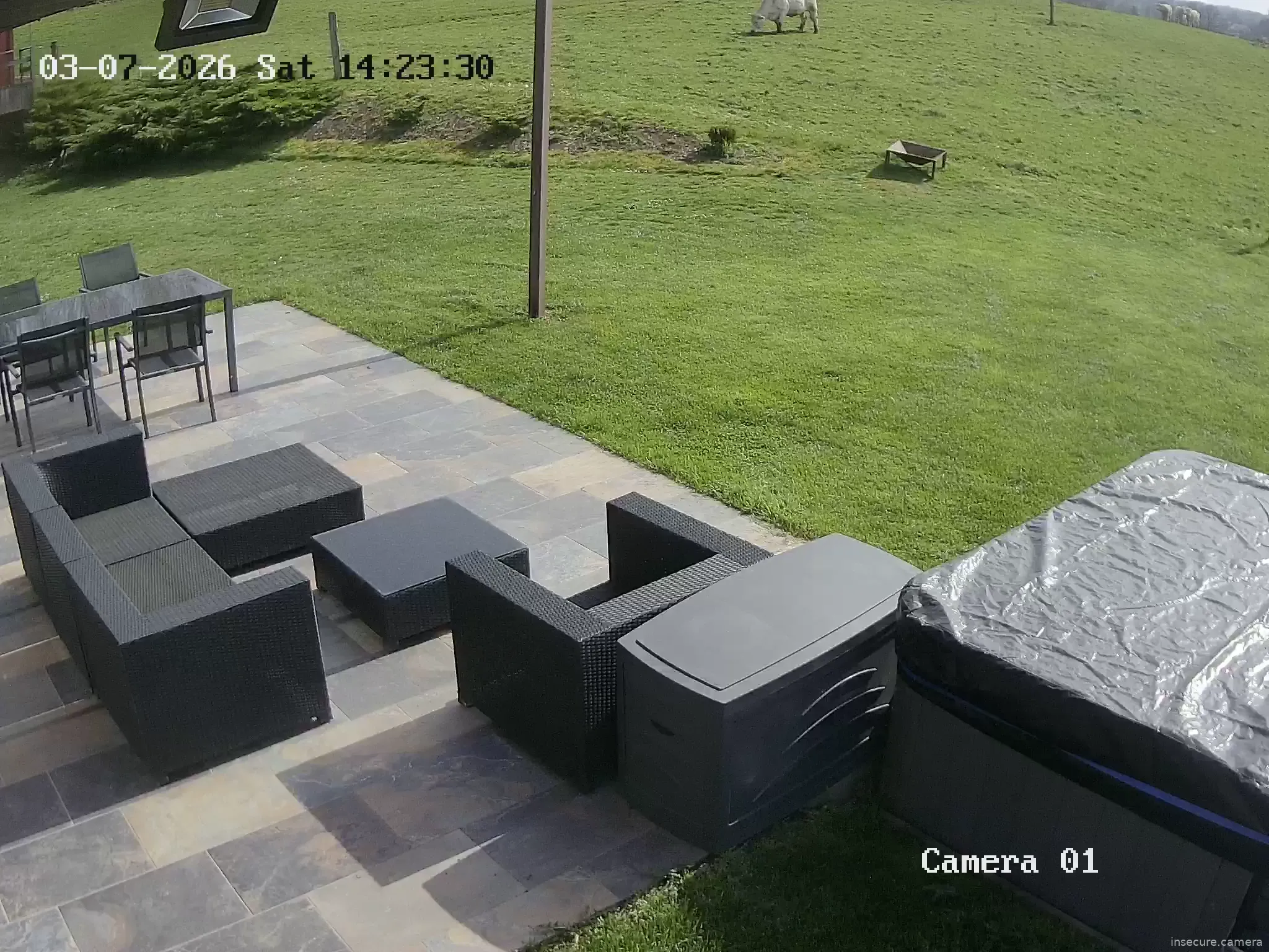 Capture from Mar 07, 2026 at 12:56 PM