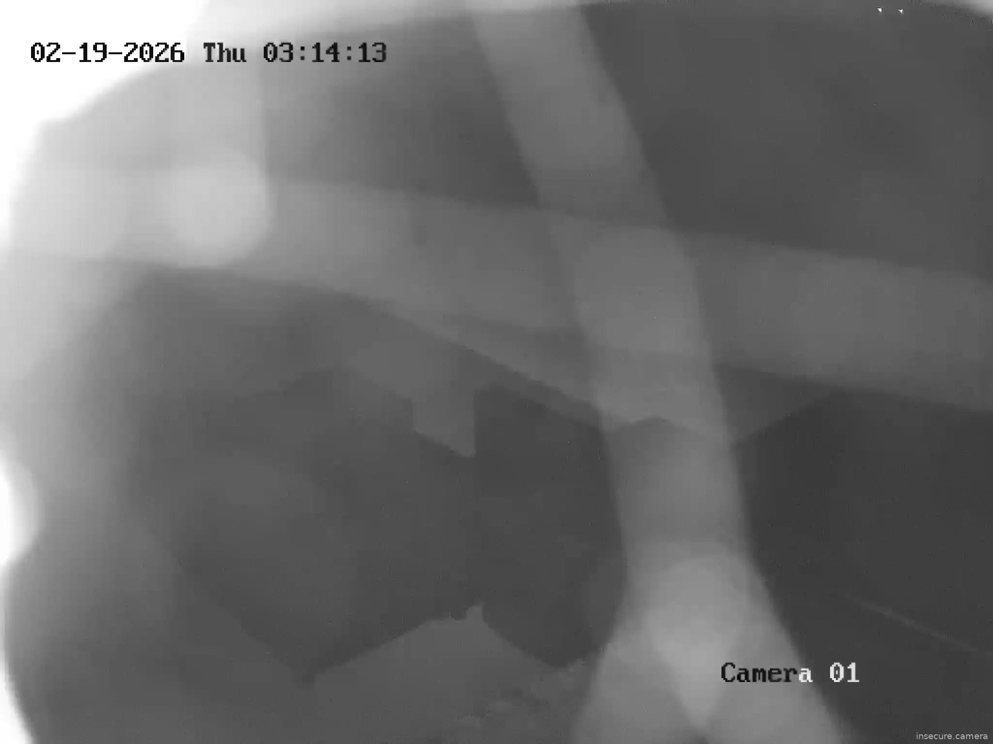 Capture from Feb 19, 2026 at 01:48 AM