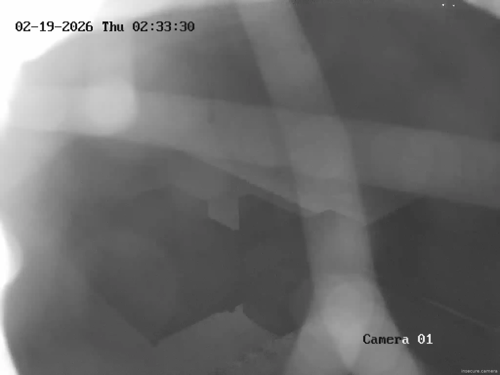 Capture from Feb 19, 2026 at 01:07 AM