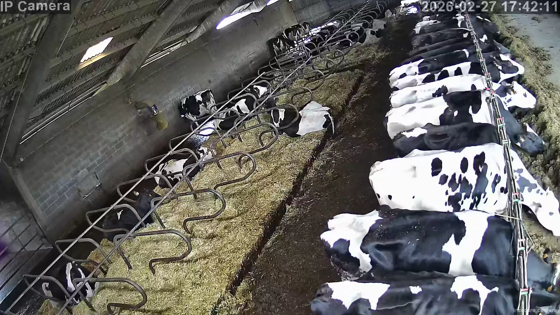 Capture from Feb 27, 2026 at 09:42 AM