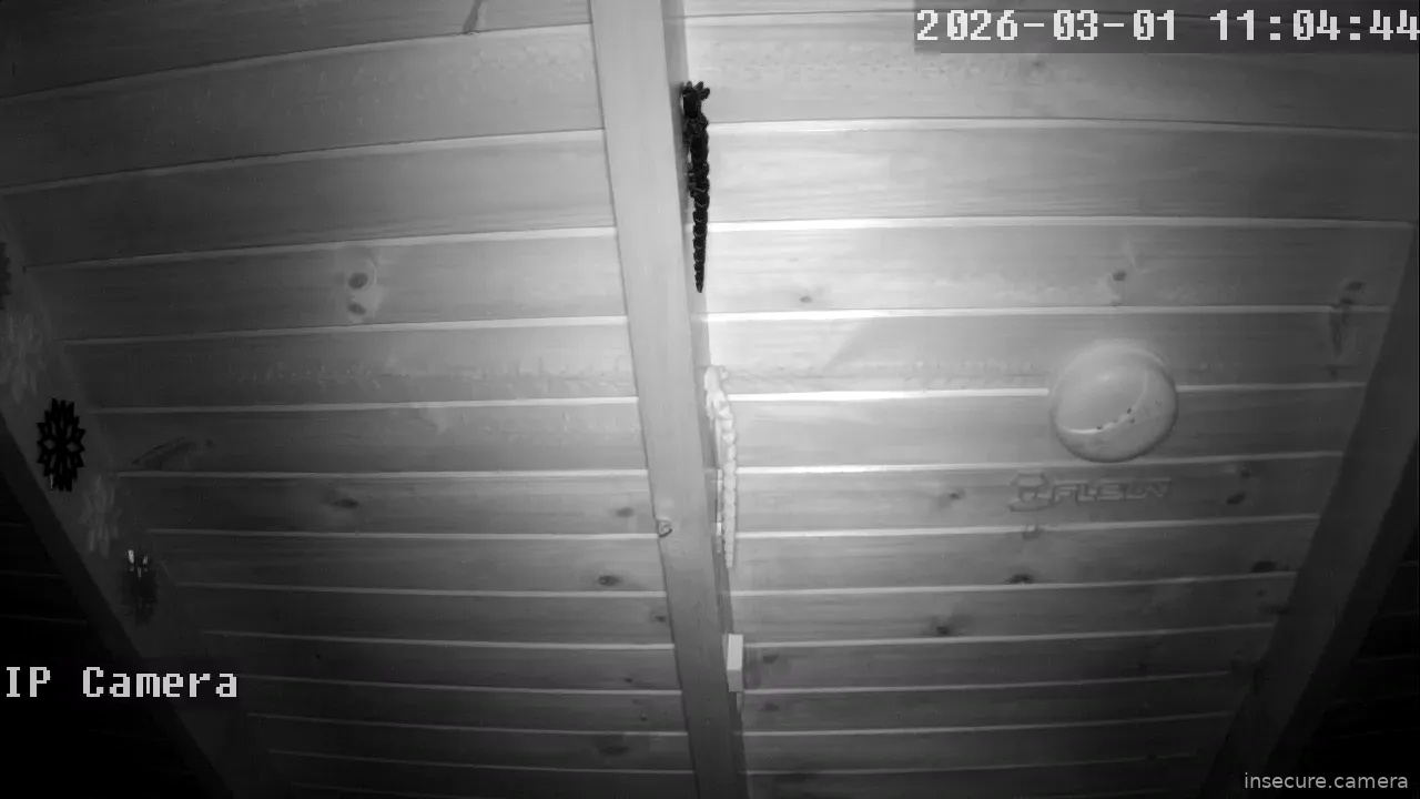 Capture from Mar 01, 2026 at 03:05 AM