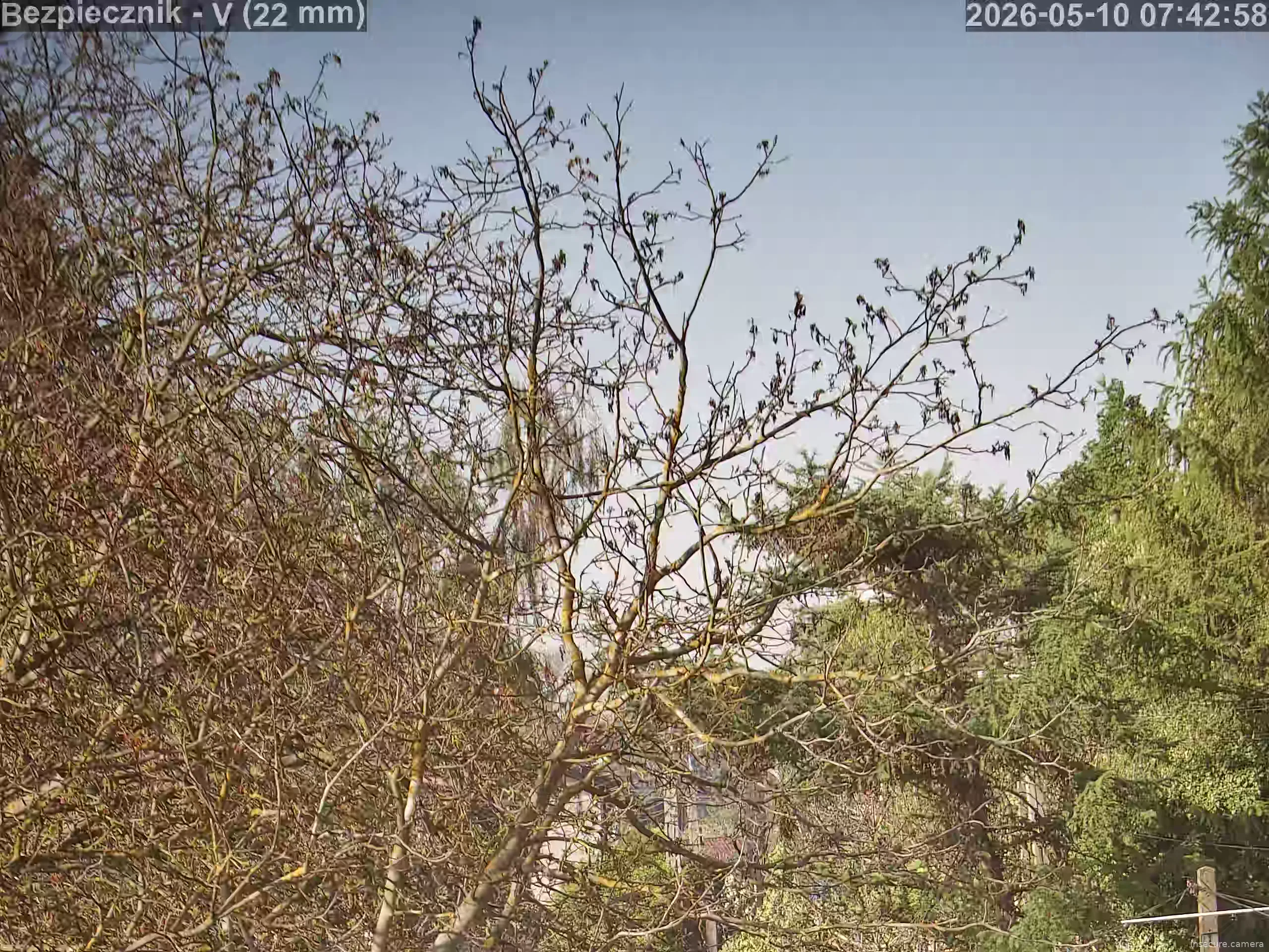 Capture from May 10, 2026 at 05:43 AM