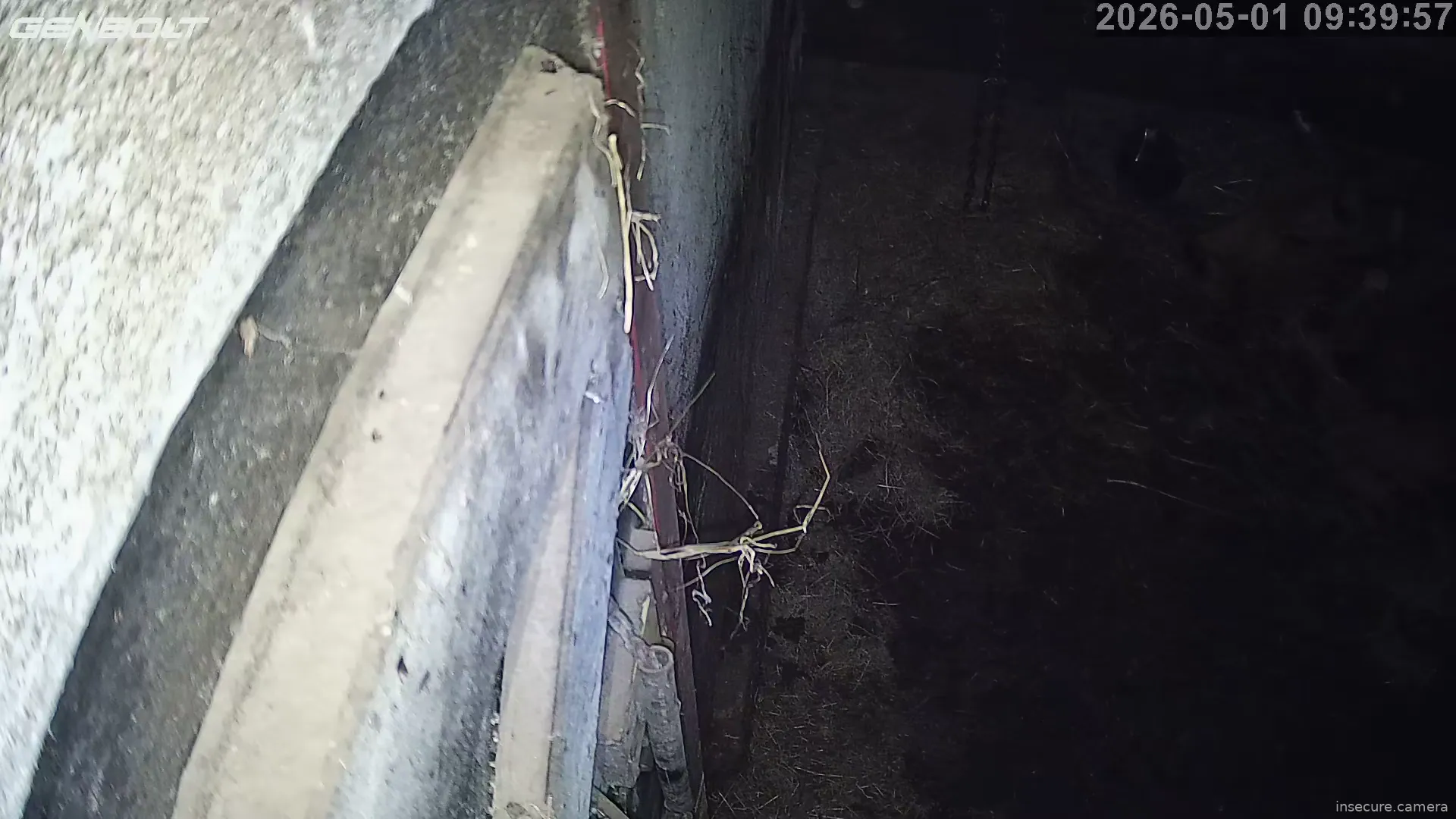 Capture from May 01, 2026 at 01:40 AM