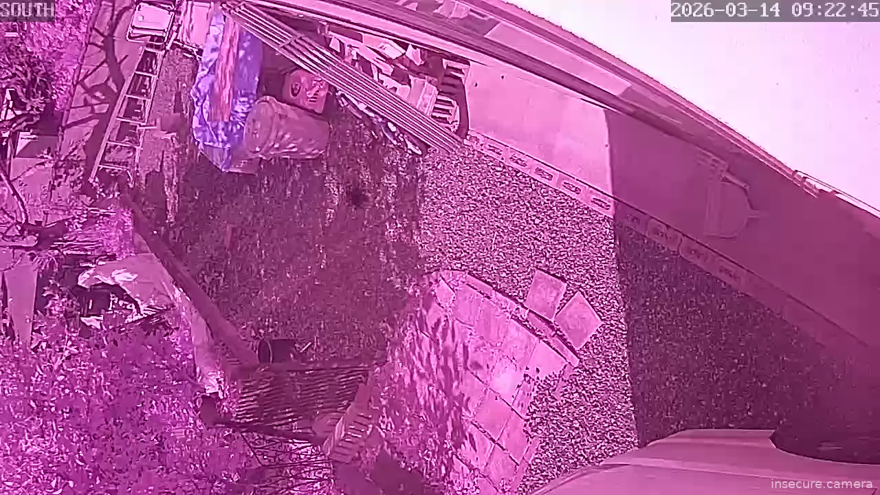 Capture from Mar 14, 2026 at 12:23 AM