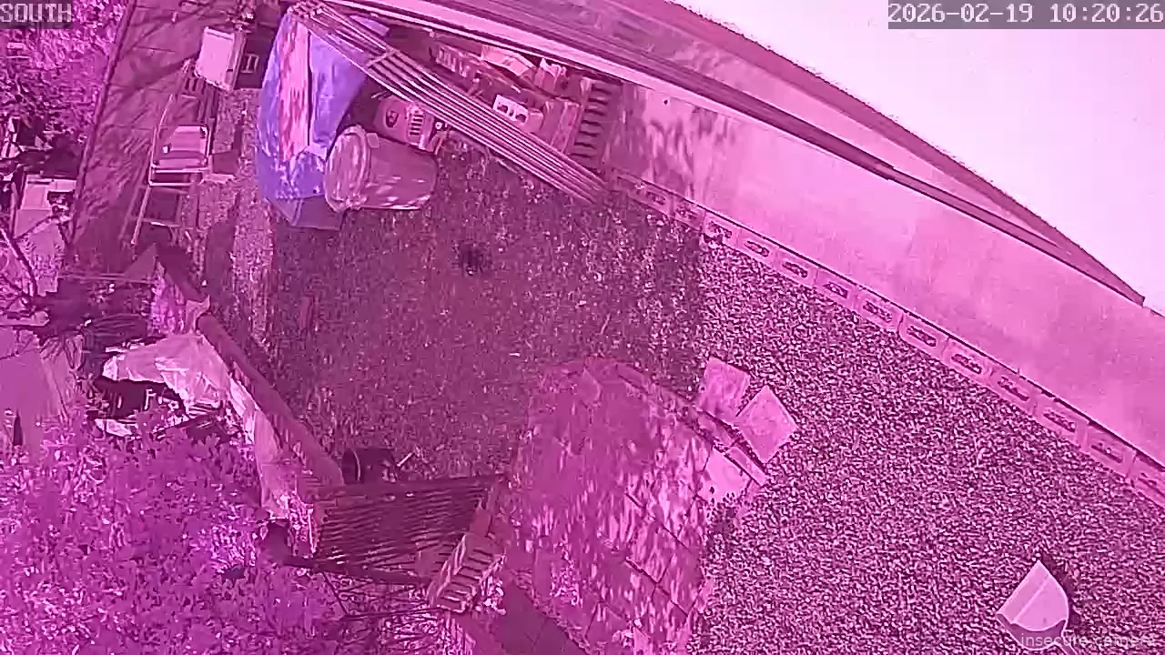 Capture from Feb 19, 2026 at 01:20 AM