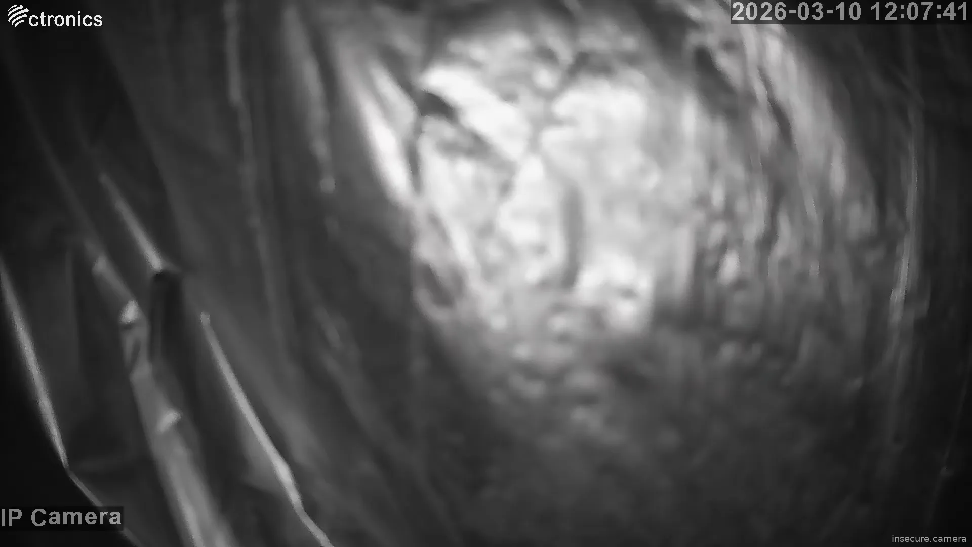 Capture from Mar 10, 2026 at 04:08 AM