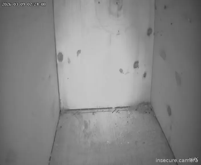 Capture from Mar 09, 2026 at 06:24 AM