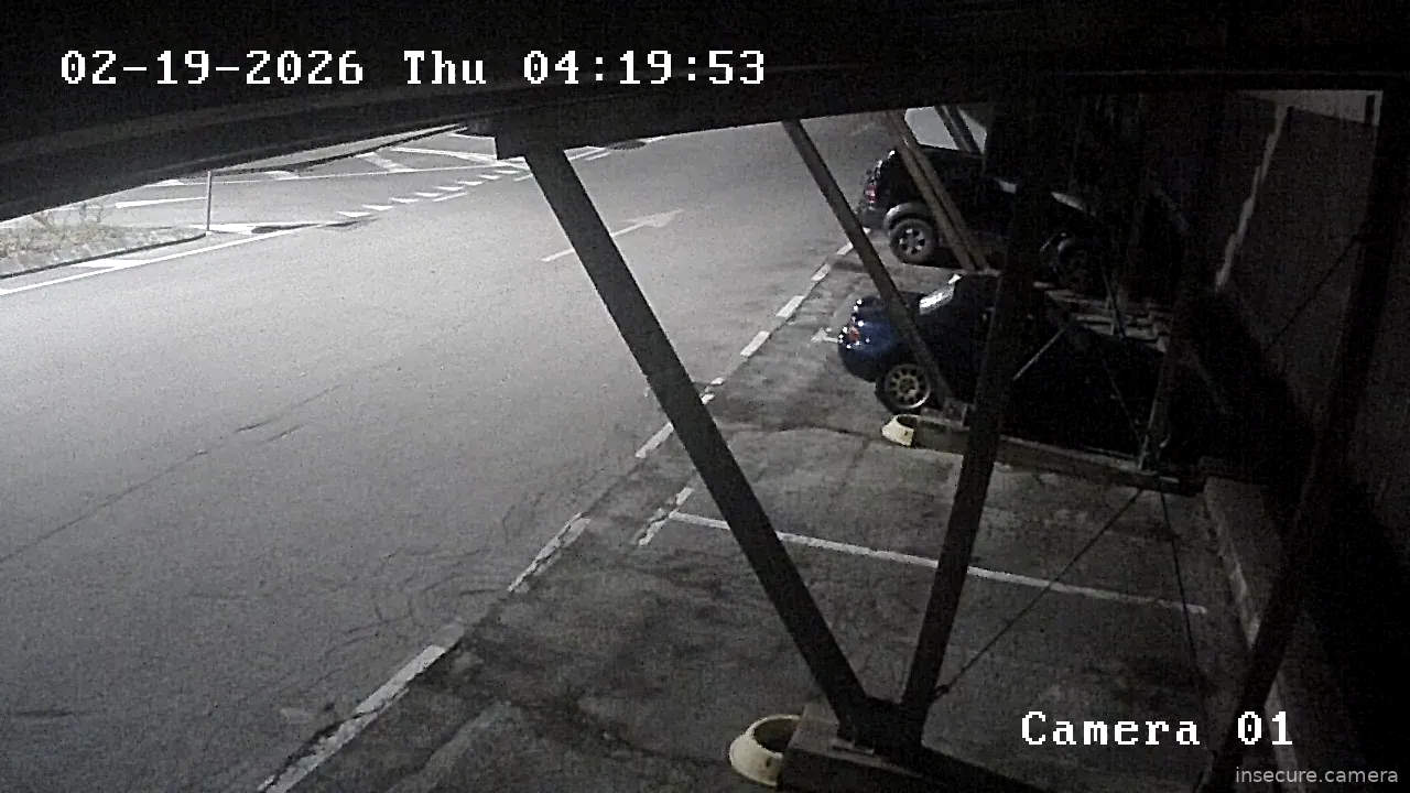 Capture from Feb 19, 2026 at 03:20 AM