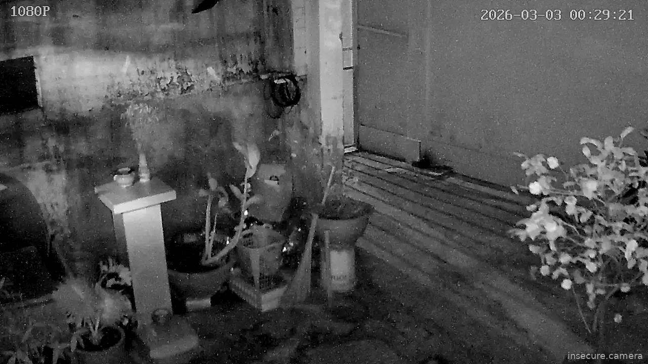 Capture from Mar 02, 2026 at 05:29 PM