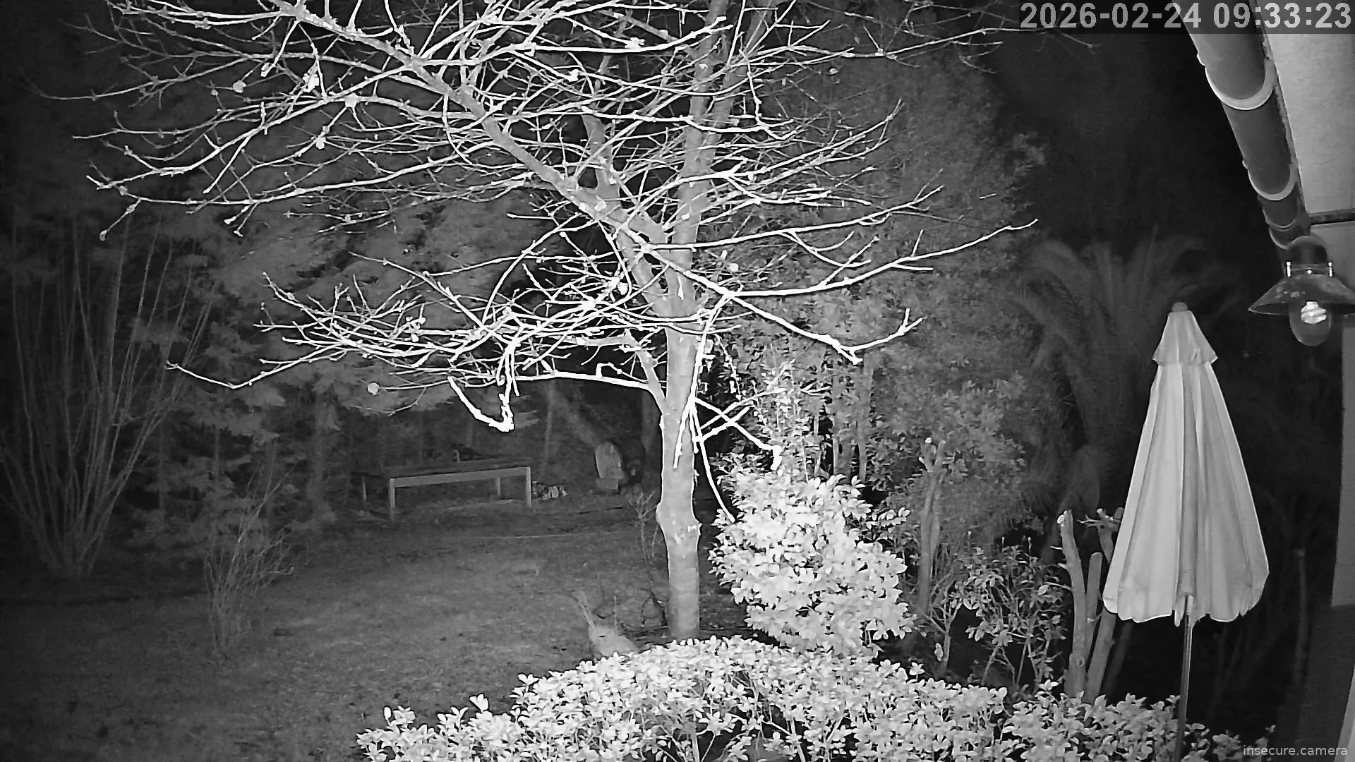 Capture from Feb 24, 2026 at 01:33 AM