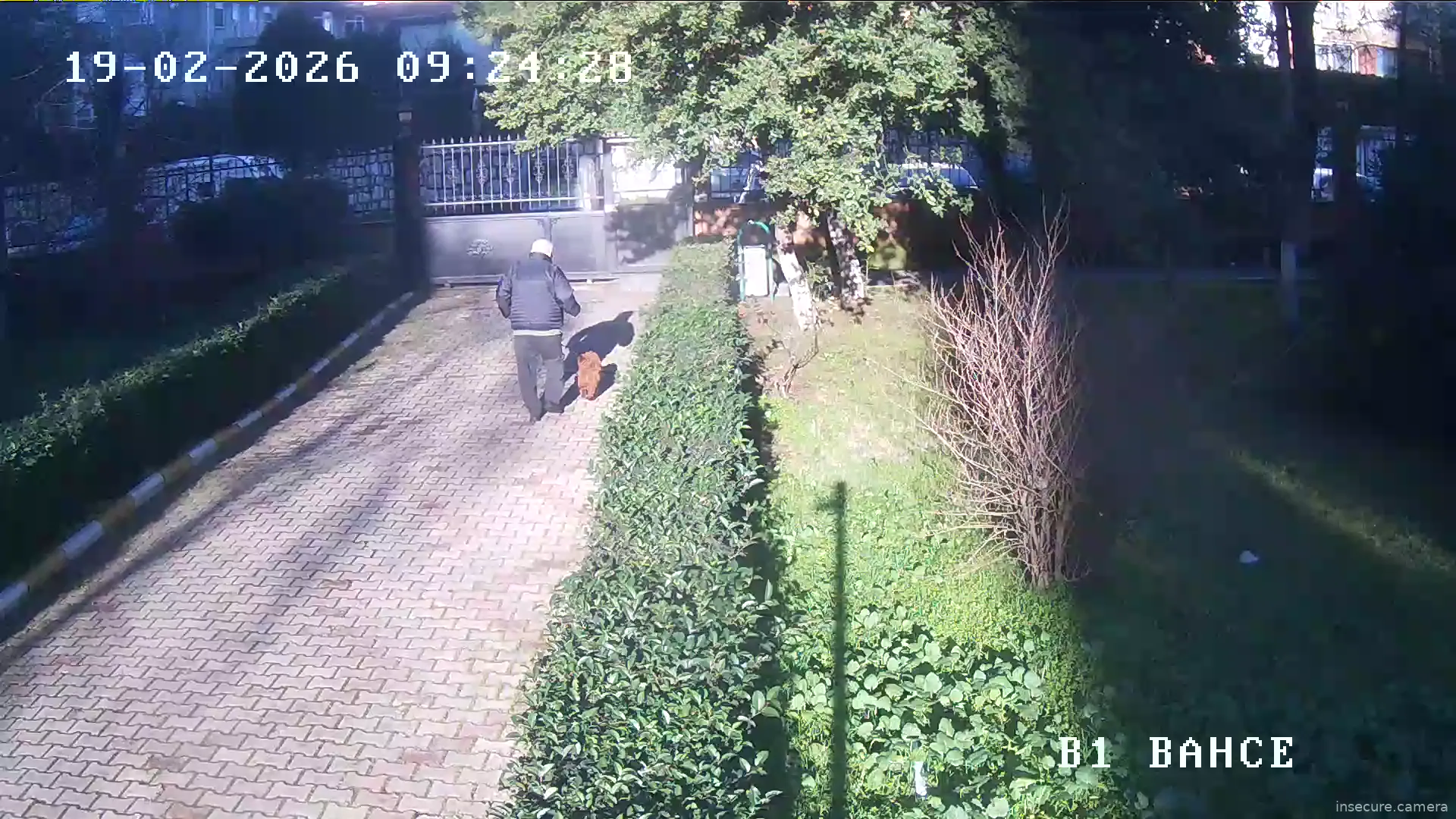 Capture from Feb 19, 2026 at 06:24 AM