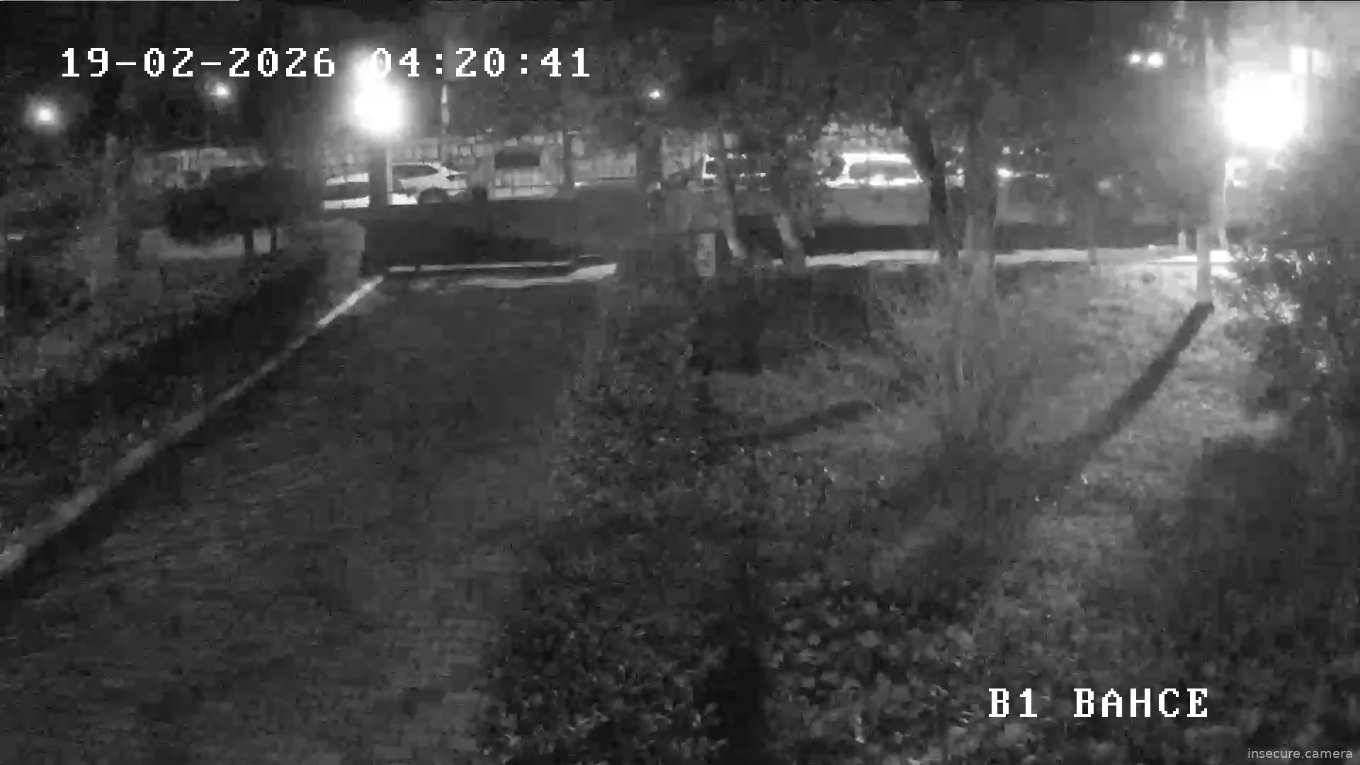 Capture from Feb 19, 2026 at 01:21 AM